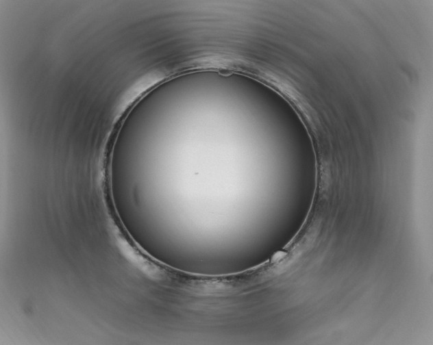 X0000111851042200907231424
