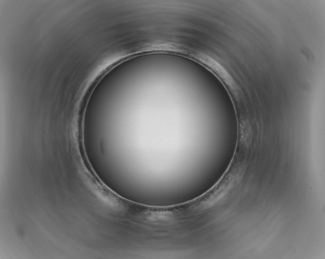 X0000111851043200907231424