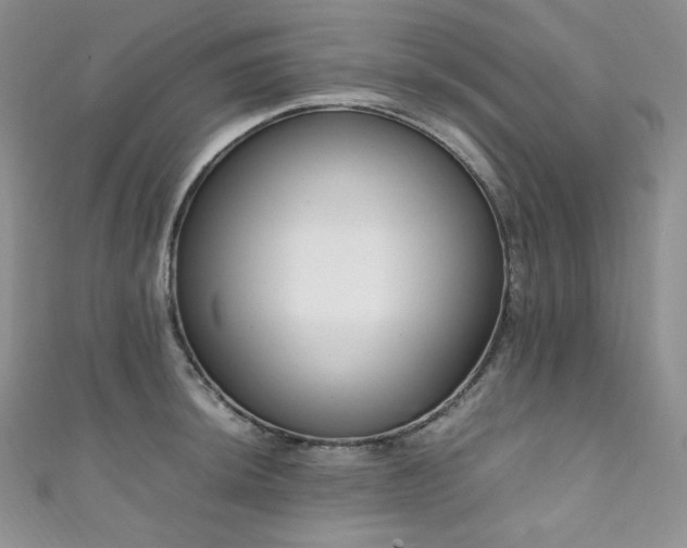 X0000111851044200907231424