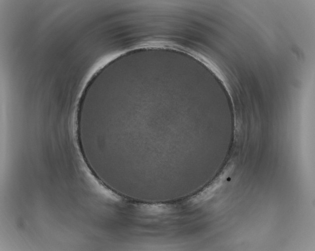 X0000111851045200907231424