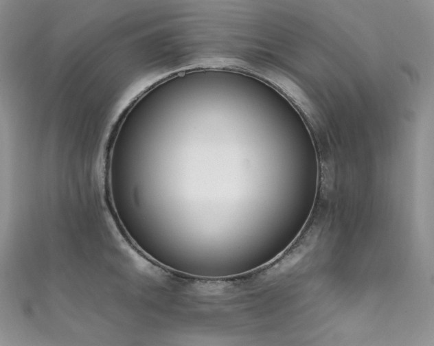 X0000111851046200907231424