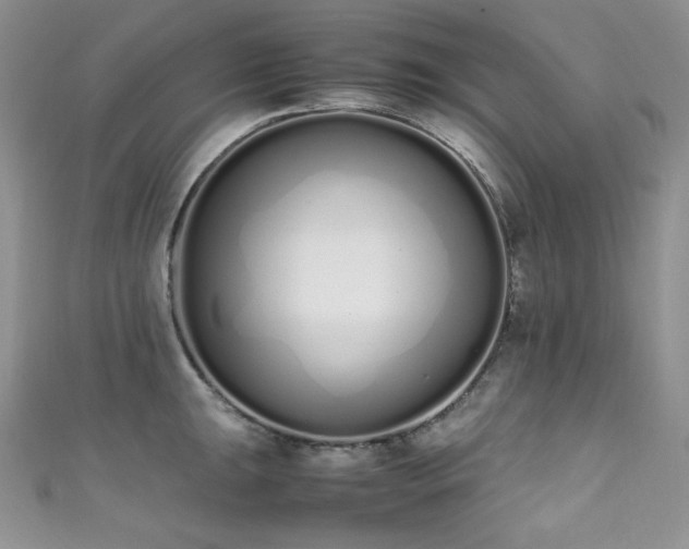 X0000111851047200907231424