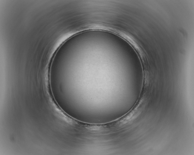X0000111851048200907231424
