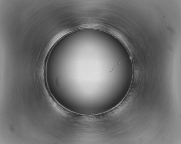 X0000111851050200907231424