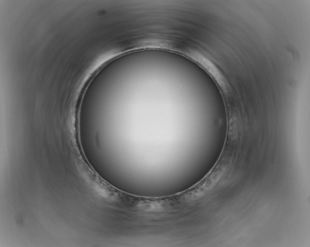 X0000111851051200907231424