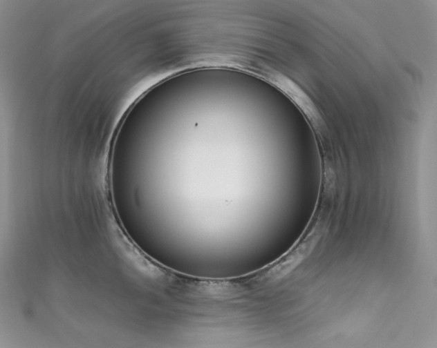 X0000111851052200907231424
