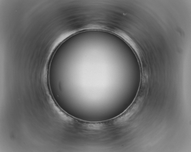 X0000111851053200907231424