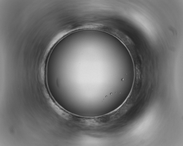 X0000111851054200907231424