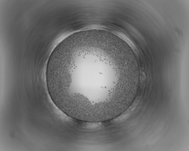 X0000111851055200907231424