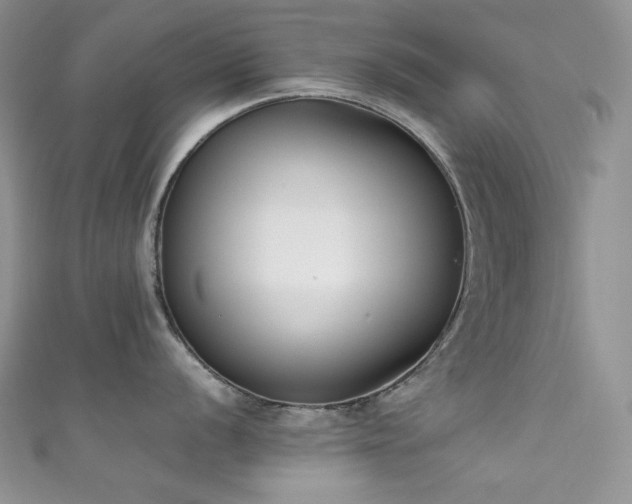X0000111851056200907231424