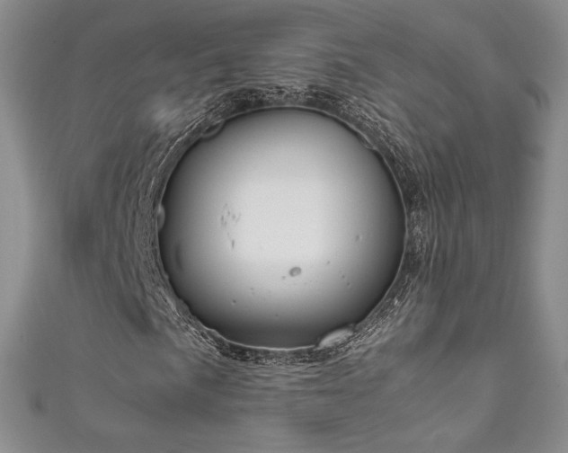 X0000111851057200907231424