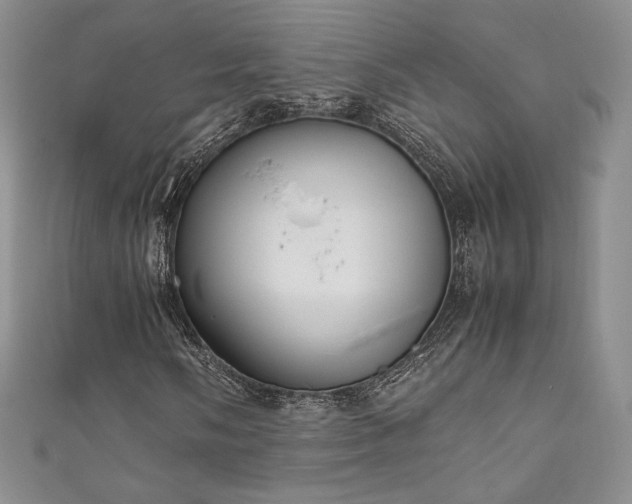 X0000111851058200907231424