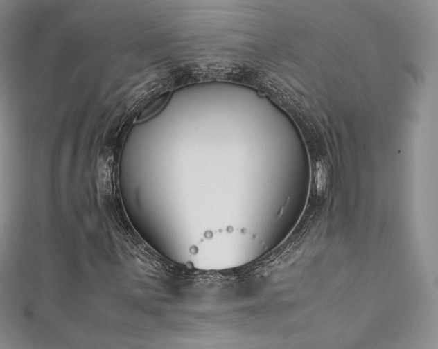 X0000111851059200907231424