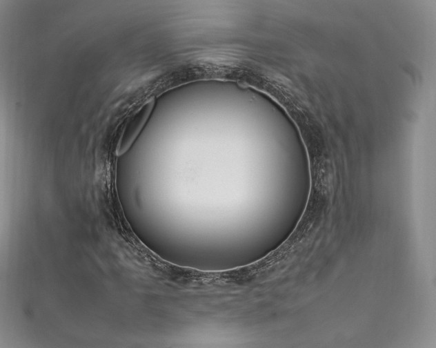 X0000111851061200907231424
