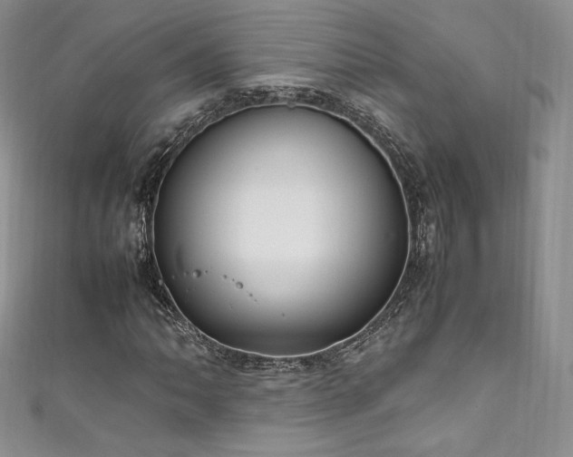 X0000111851062200907231424