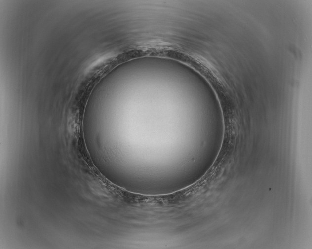 X0000111851063200907231424