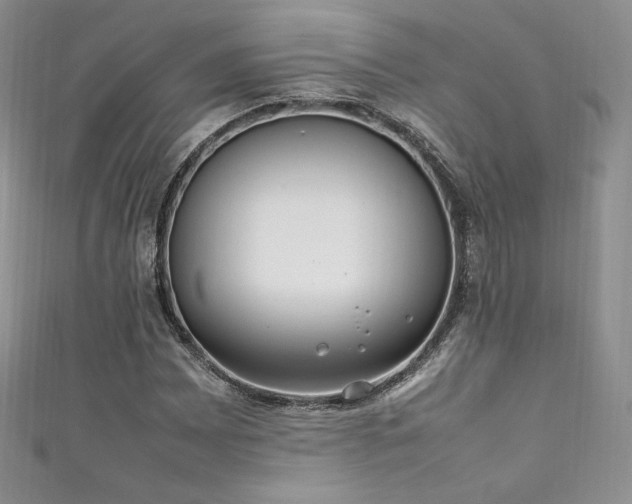 X0000111851065200907231424