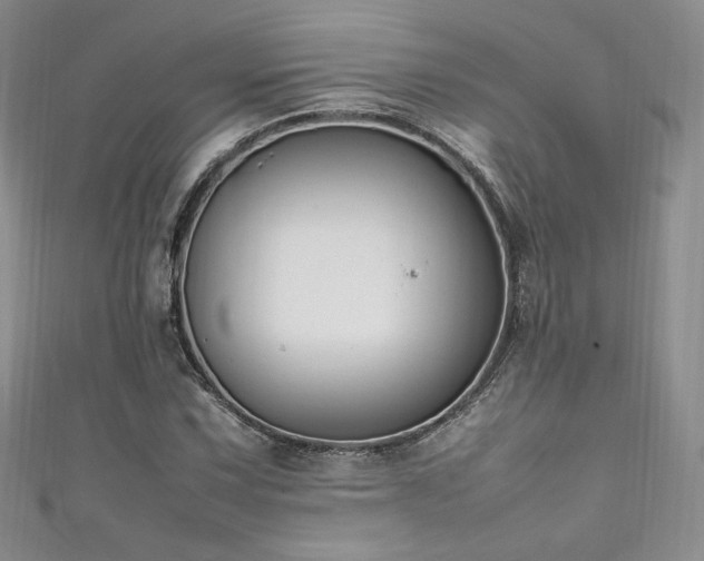 X0000111851067200907231424