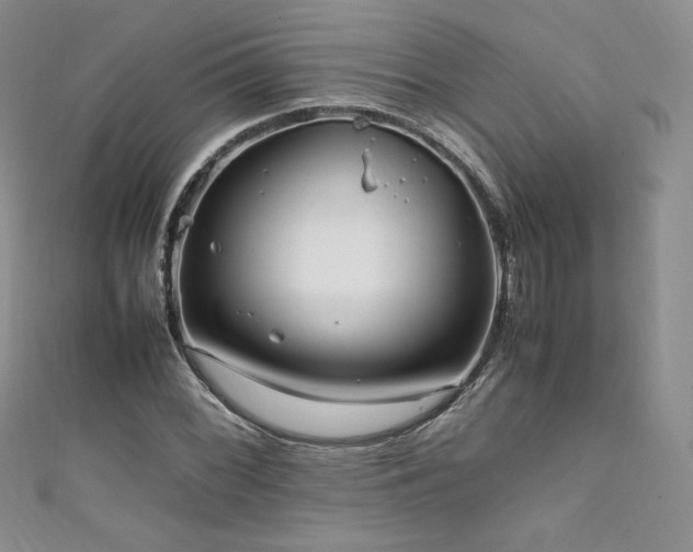 X0000111851068200907231424