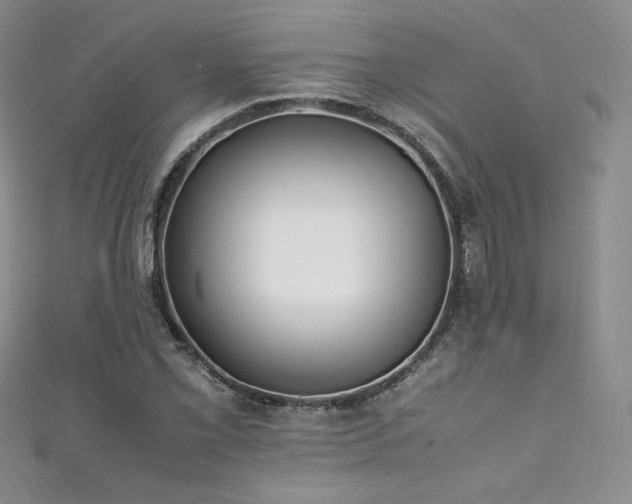 X0000111851069200907231424