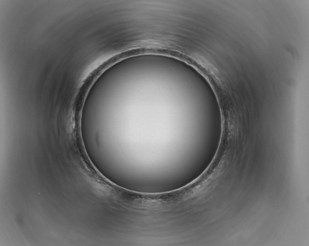 X0000111851070200907231424