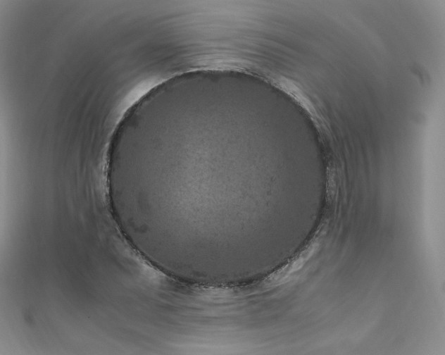 X0000111851071200907231424