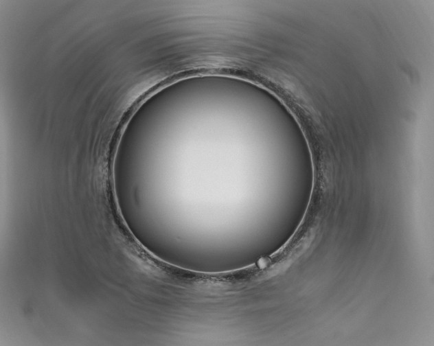 X0000111851073200907231424
