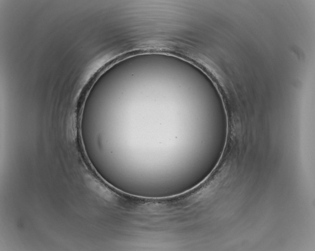 X0000111851075200907231424
