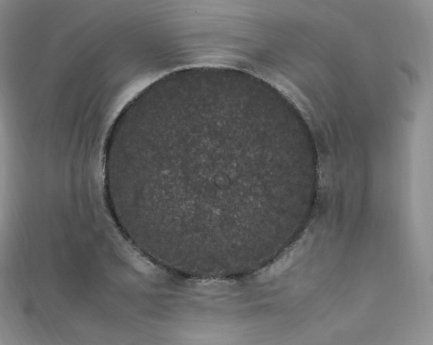 X0000111851077200907231423