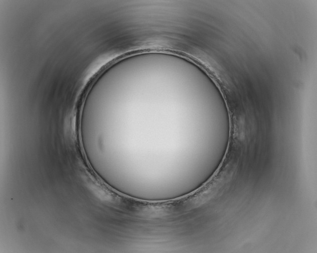 X0000111851078200907231423