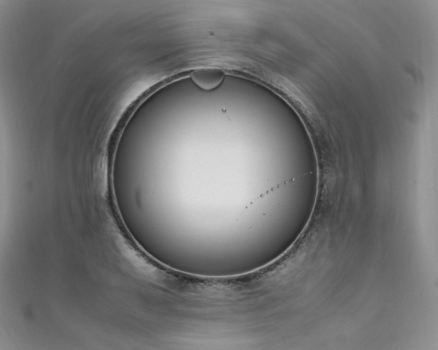 X0000111851079200907231423