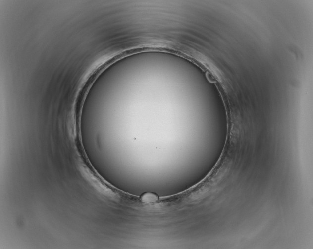 X0000111851080200907231423