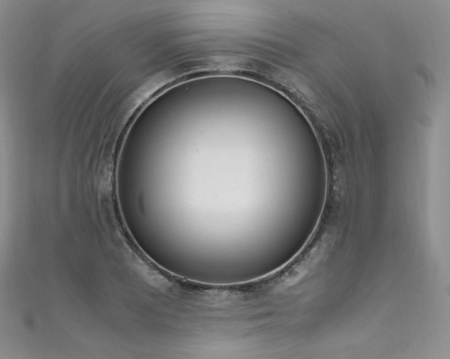 X0000111851081200907231423