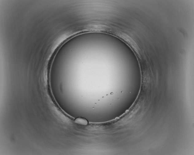 X0000111851083200907231423