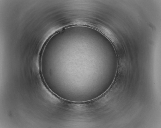 X0000111851084200907231423