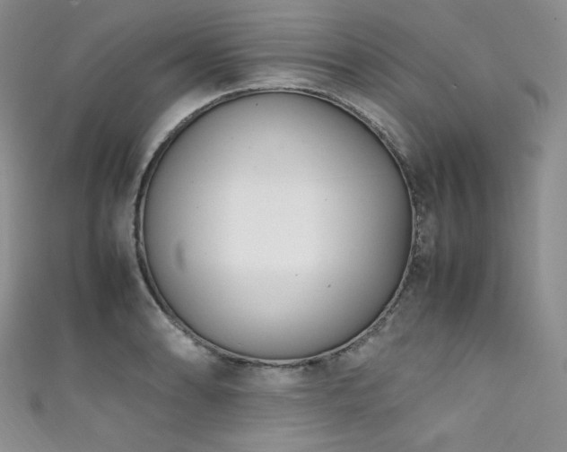 X0000111851086200907231423
