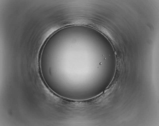 X0000111851087200907231423