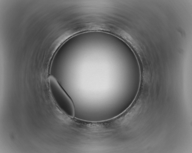 X0000111851089200907231423