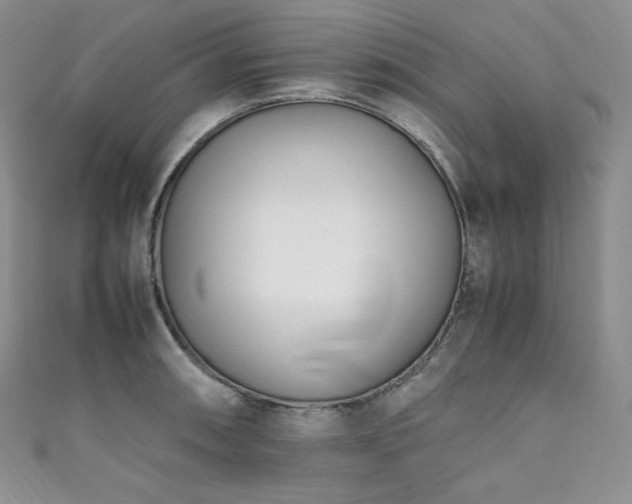 X0000111851090200907231423