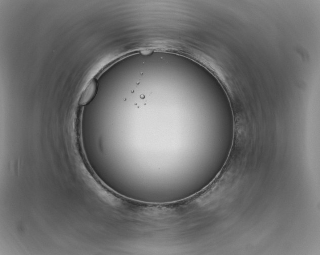 X0000111851091200907231423