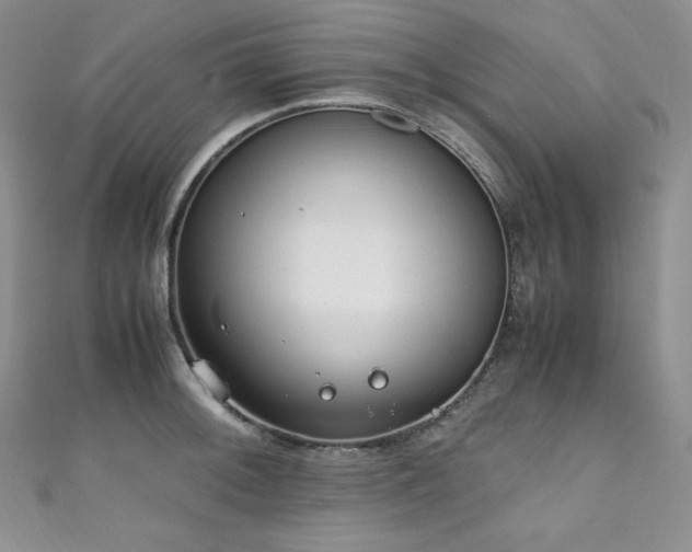 X0000111851092200907231423