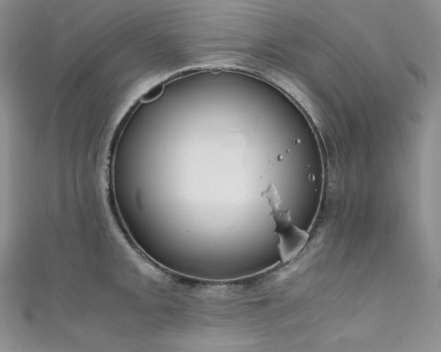 X0000111851093200907231423