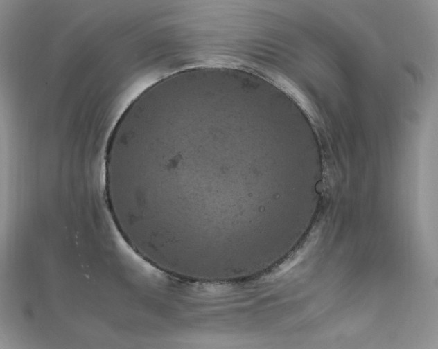 X0000111851095200907231423