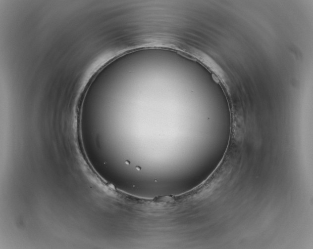 X0000111851096200907231423
