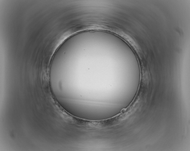 X0000111851097200907231423