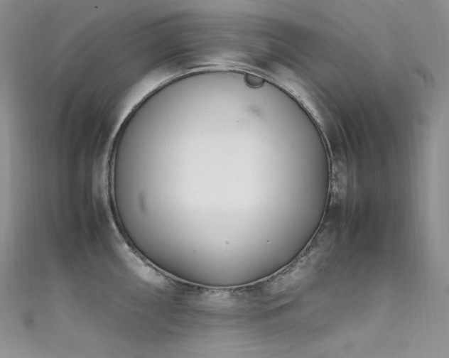 X0000111851098200907231423