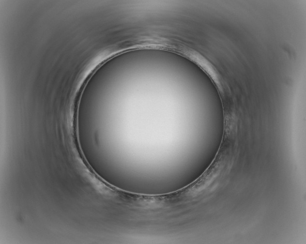 X0000111851099200907231423