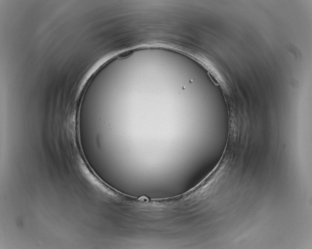 X0000111851100200907231423