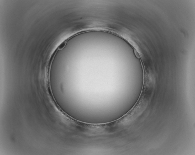 X0000111851101200907231423