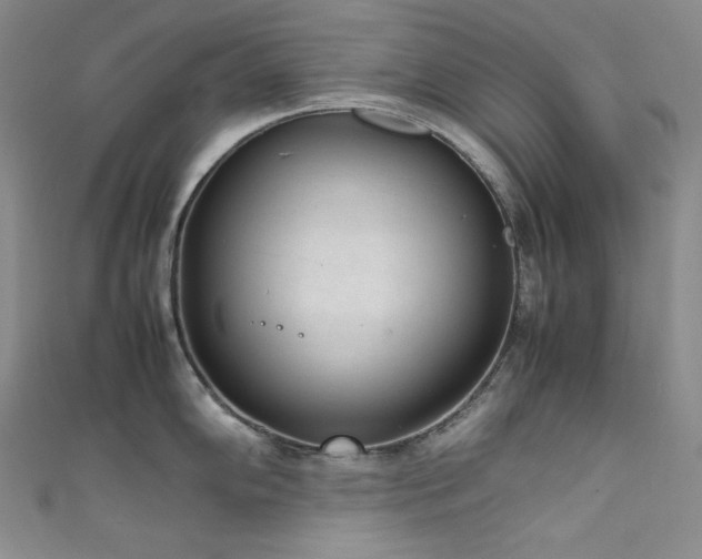 X0000111851102200907231423
